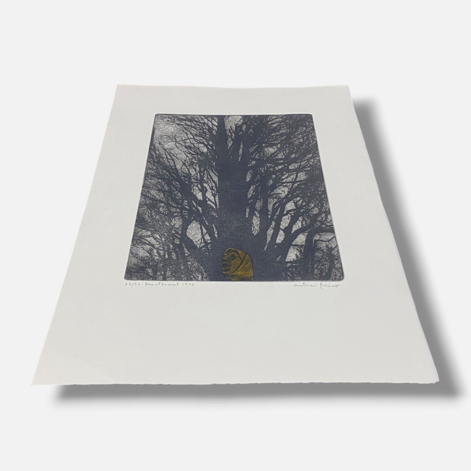 Antoni Miró Bravo "Montserrat" Fine Wall Art | 15 x 21"