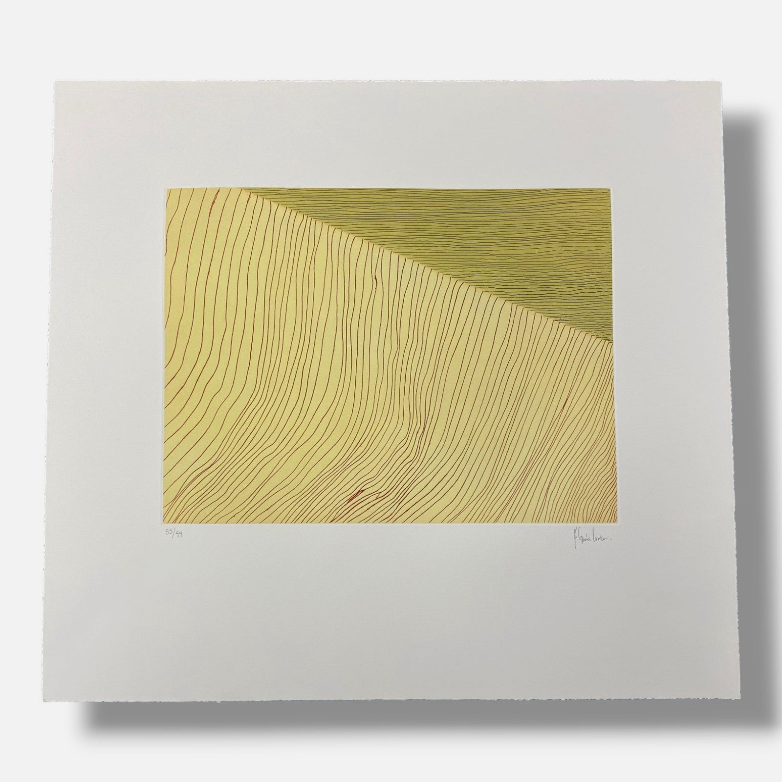 Boris Viskin "Abstraccion y Naturaleza" 2005, Fine Wall Art Print 6-Piece Set