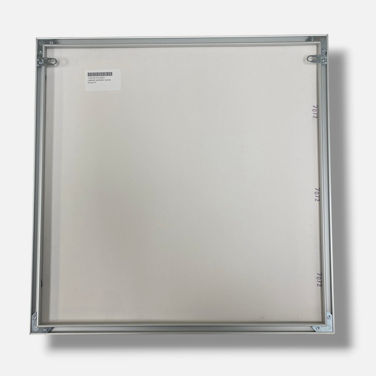 Elena Jiménez Moreno "Gulliver III" Mixed Media Print Framed Wall Art, 20 x 20"