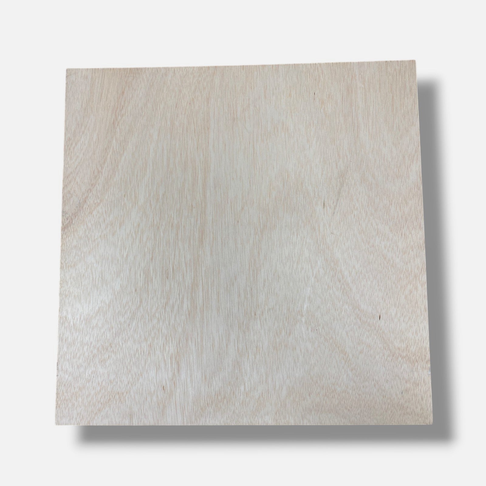 José Alberto López Sánchez "Palacio De Primavera" Fine Wall Art | 20" x 20" in