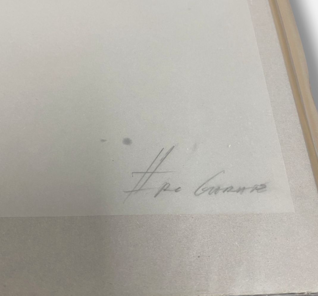 Jon Ander Del Arco "Los Santos Inocentes V" Wall Art | 19.5 x 27.5"