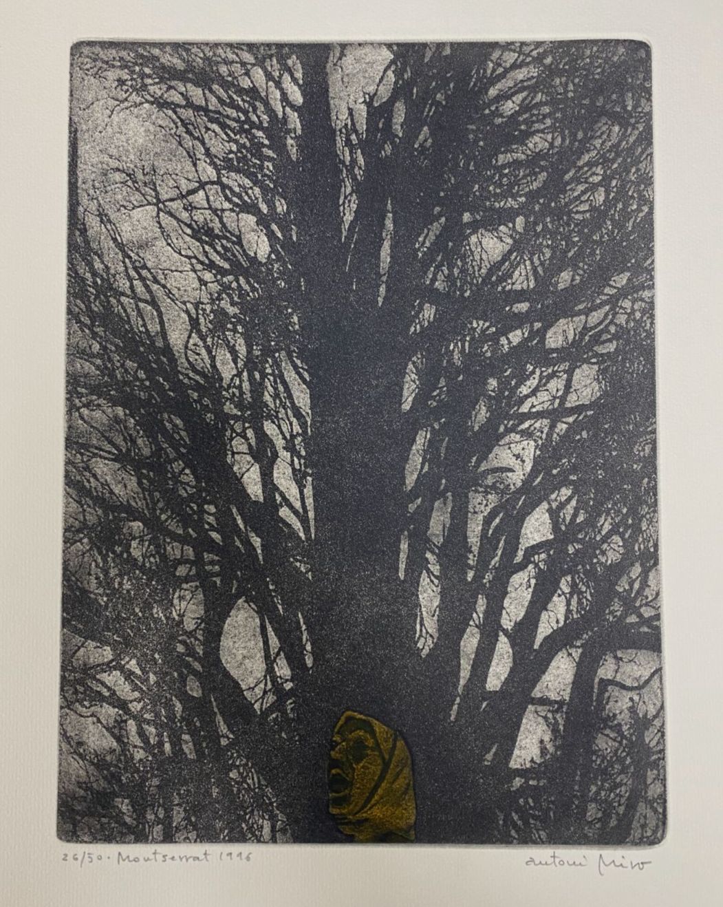 Antoni Miró Bravo "Montserrat" Fine Wall Art | 15 x 21"