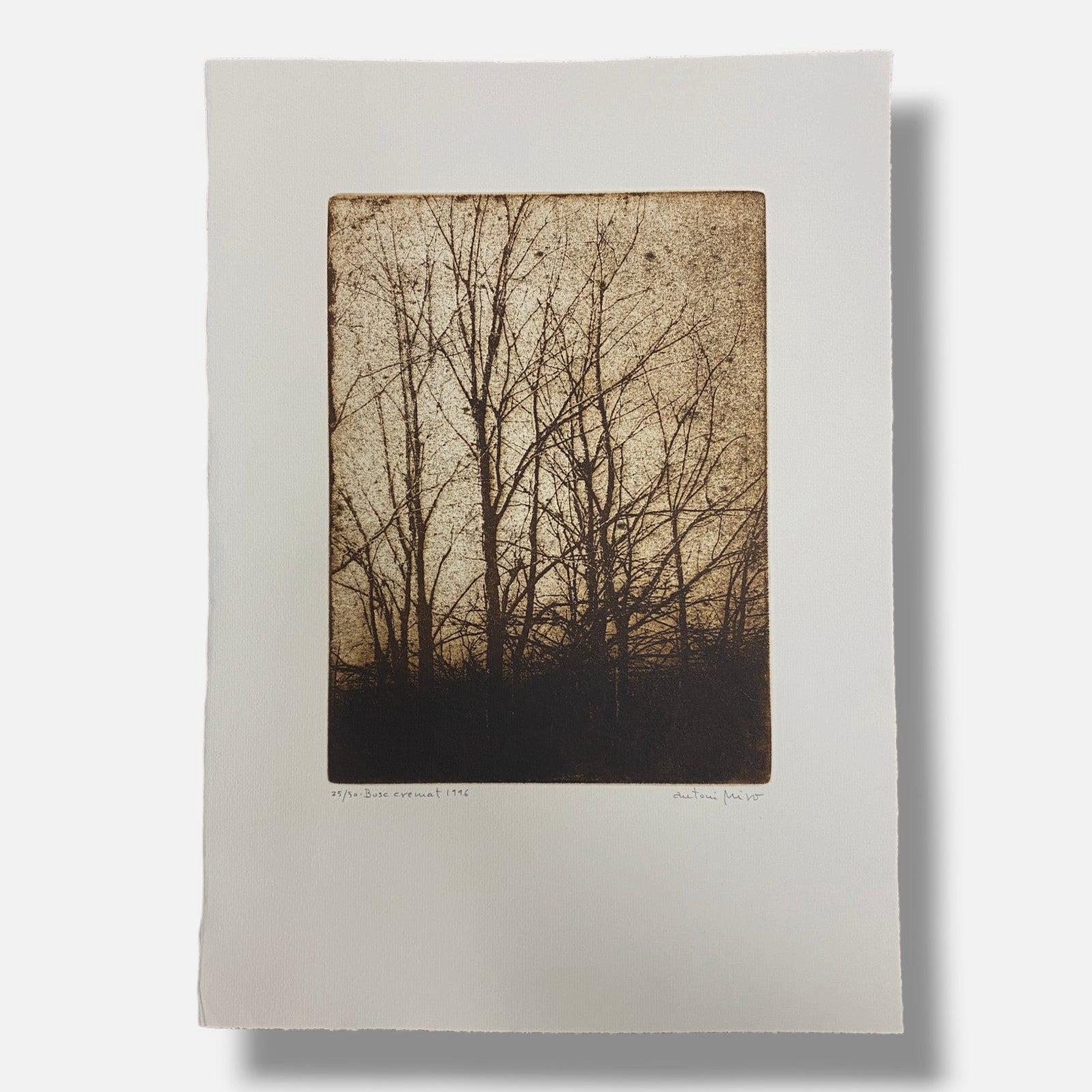 Antoni Miró Bravo "Bosc Cremat" Fine Wall Art | 15 x 21"