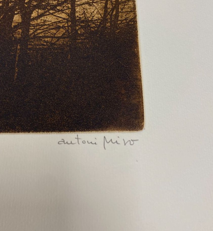 Antoni Miró Bravo "Bosc Cremat" Fine Wall Art | 15 x 21"