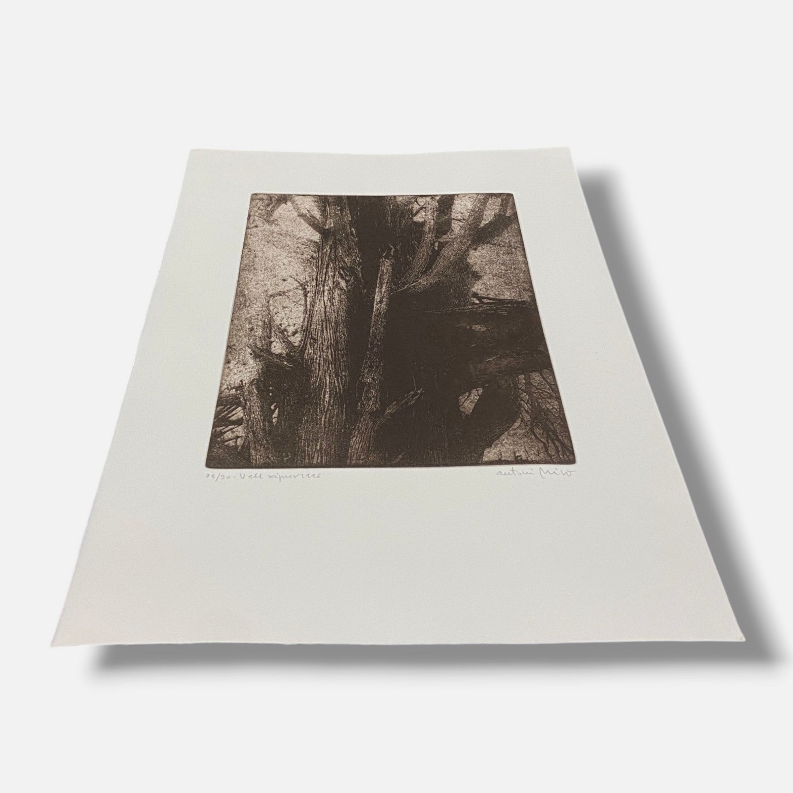 Antoni Miró Bravo "Vell Xiprer" Fine Wall Art | 15 x 21"