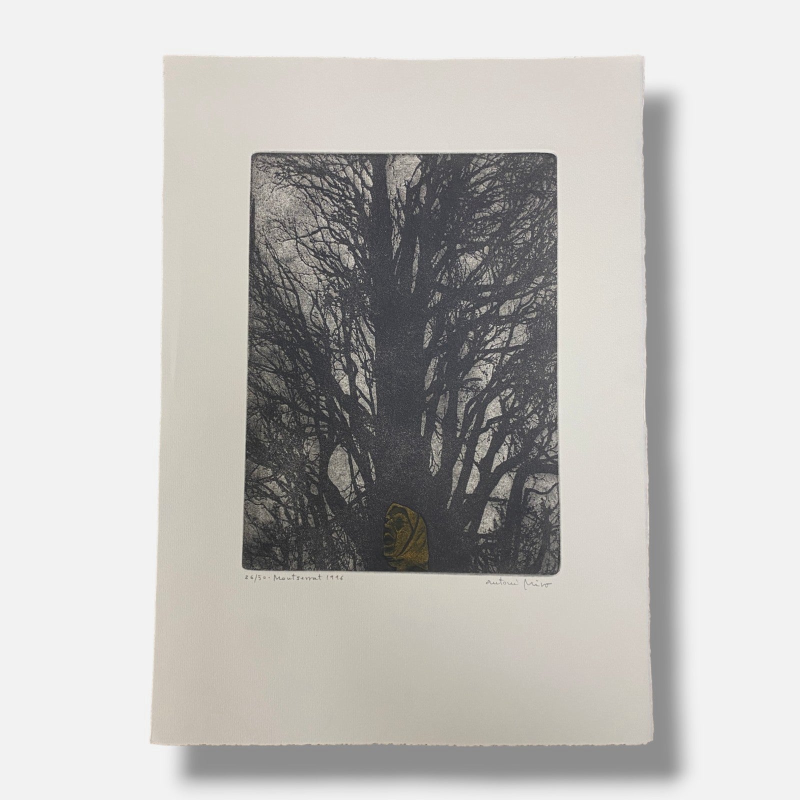 Antoni Miró Bravo "Montserrat" Fine Wall Art | 15 x 21"