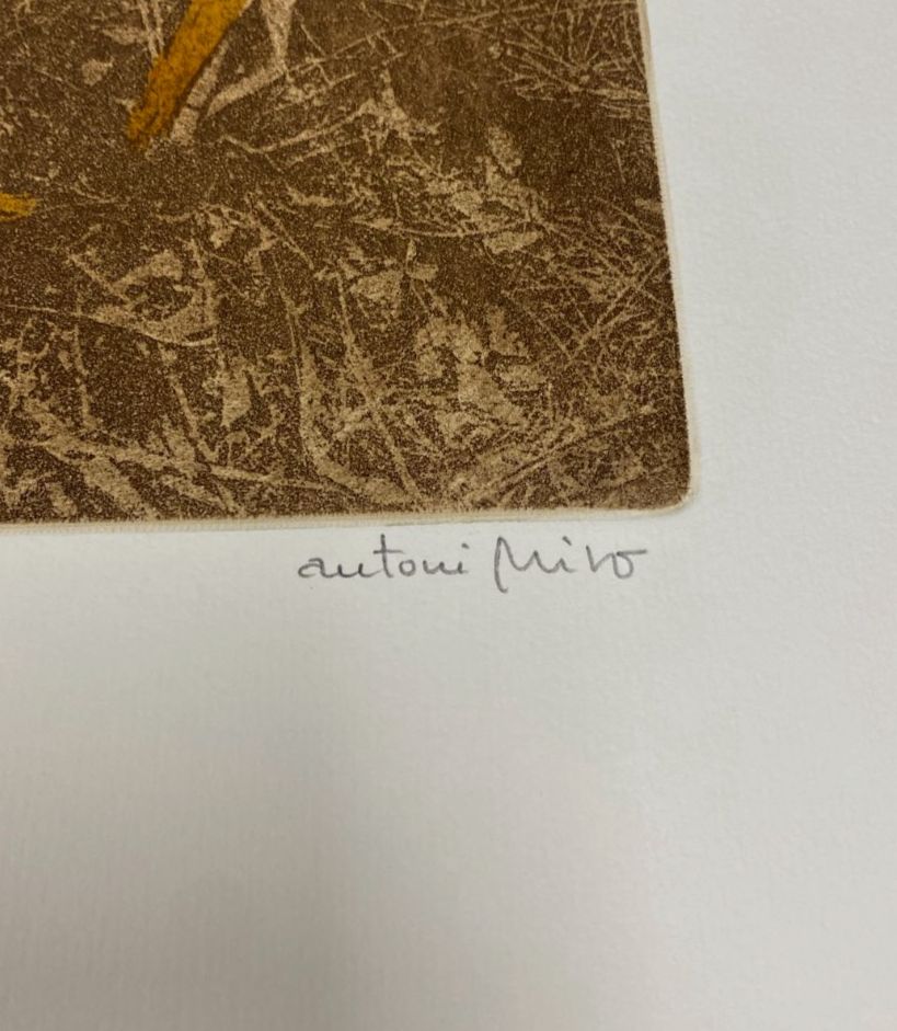 Antoni Miró Bravo "Espigalls" Fine Wall Art | 15 x 21"