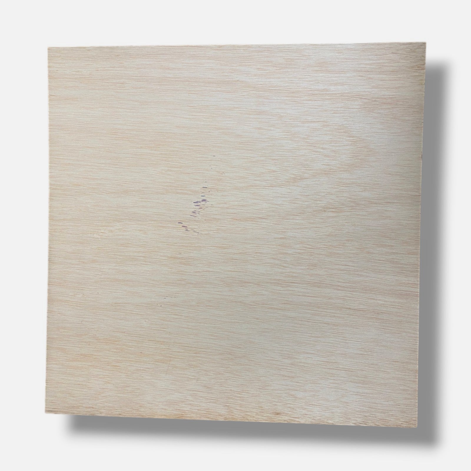 José Alberto López Sánchez "Palacio De Primavera" Fine Wall Art | 20 x 20"