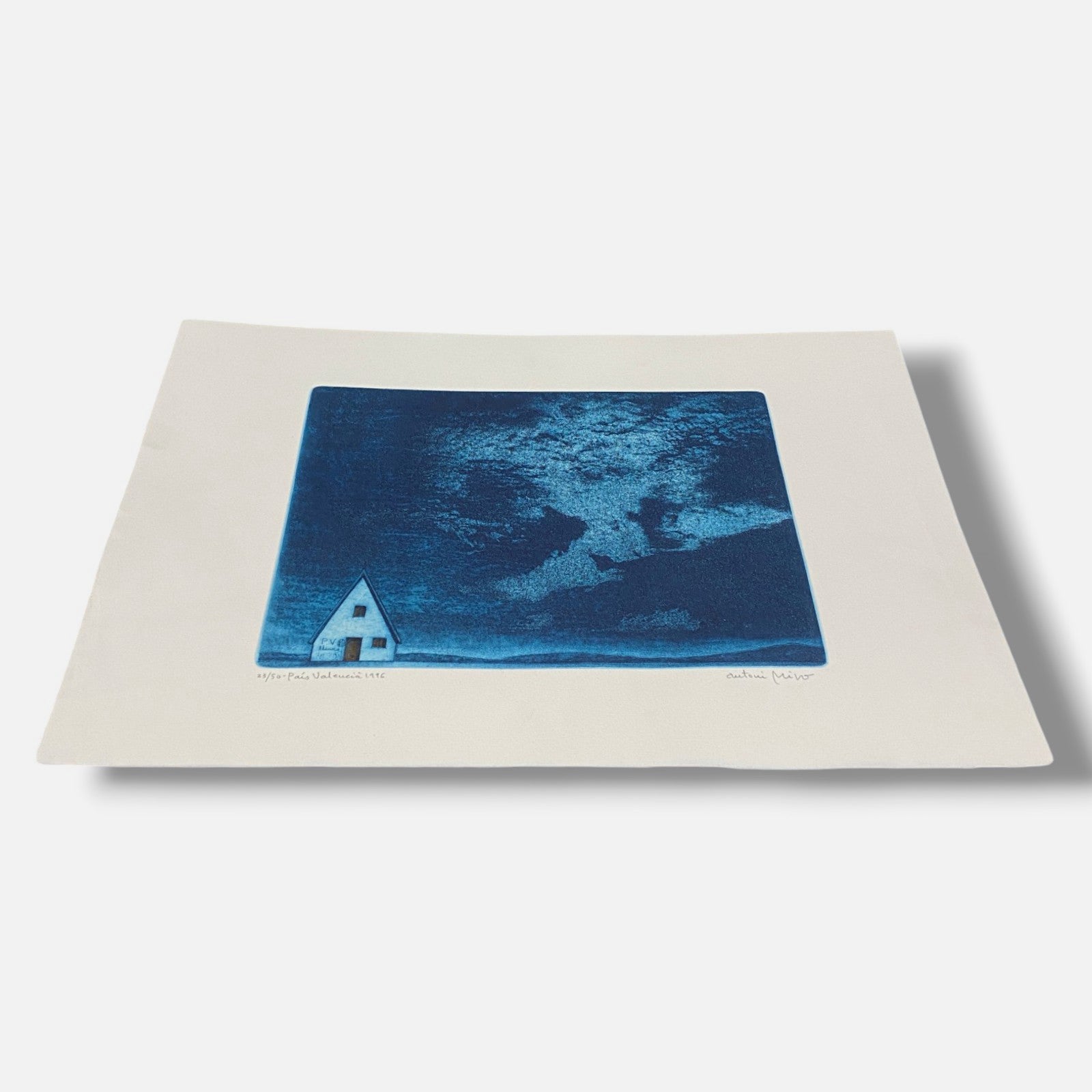 Antoni Miró Bravo "Pais Valencia" Fine Wall Art | 15 x 21"