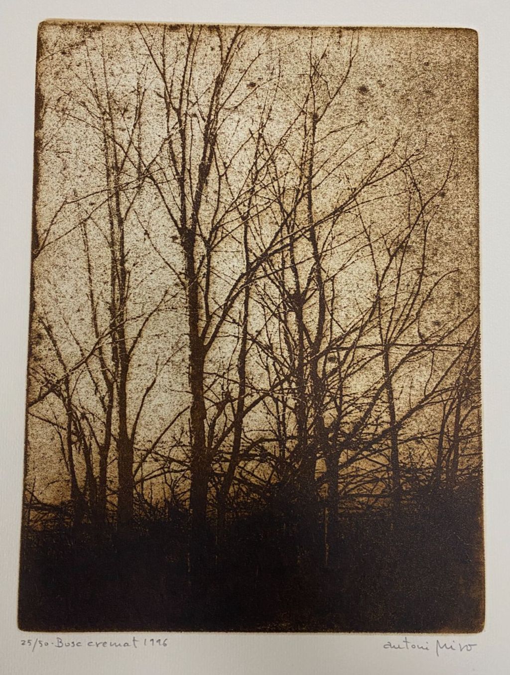 Antoni Miró Bravo "Bosc Cremat" Fine Wall Art | 15 x 21"
