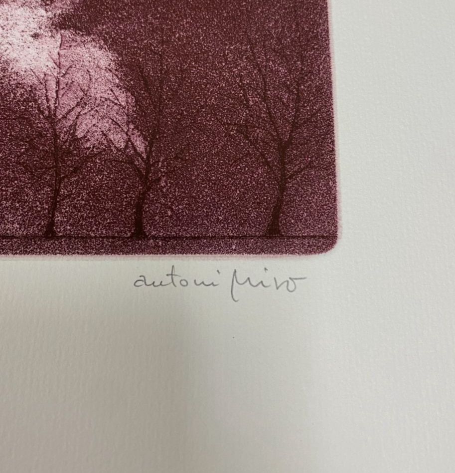 Antoni Miró Bravo "Som Una Nació" Fine Wall Art | 14.5 x 21.5"