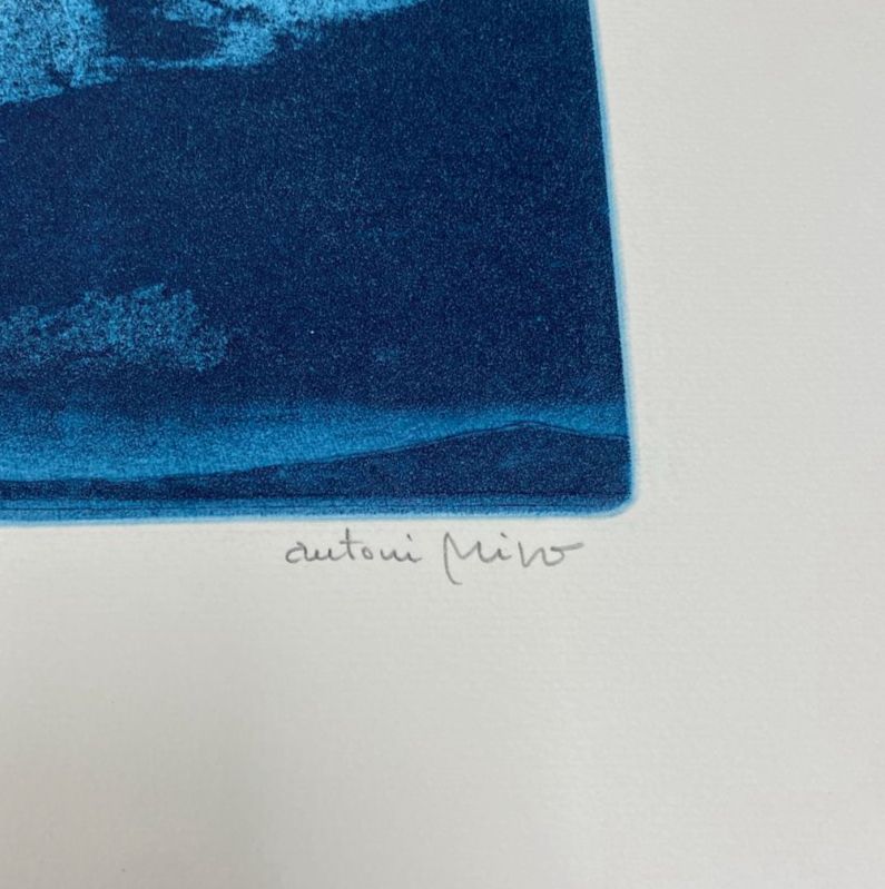 Antoni Miró Bravo "Pais Valencia" Fine Wall Art | 15 x 21"