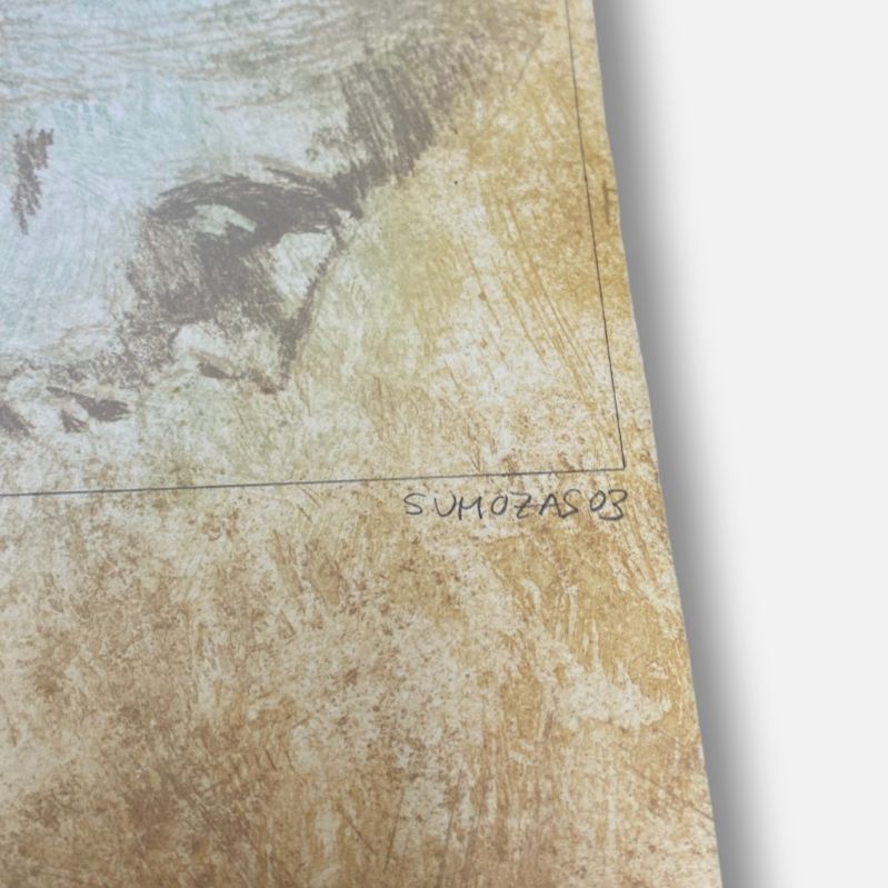 Borja Sumozas "Luz Nómada" Fine Wall Art | 12.5 x 23.5" in