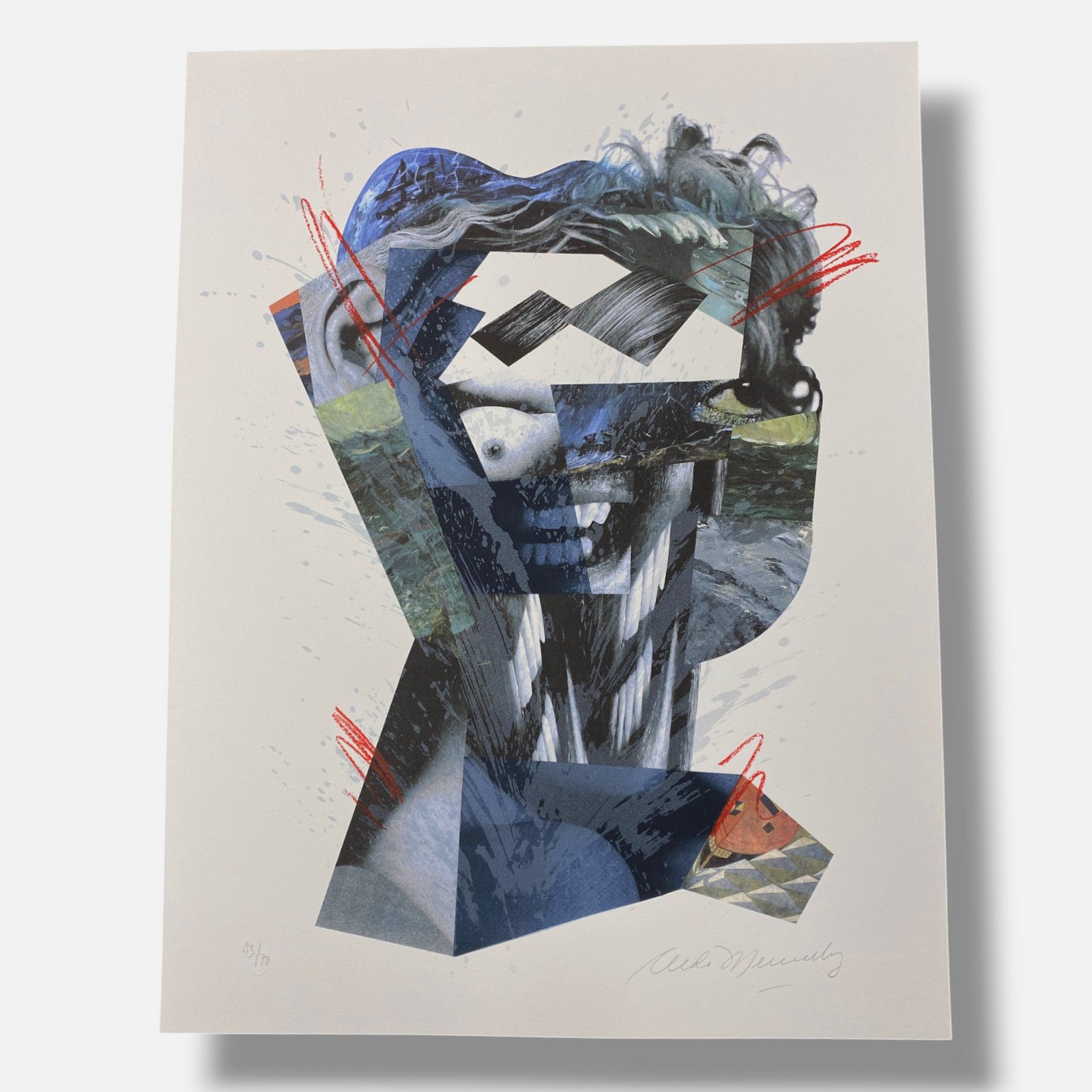 Aldo Menendez "Nostrum" 2005, Fine Wall Art Print 5-Piece Set