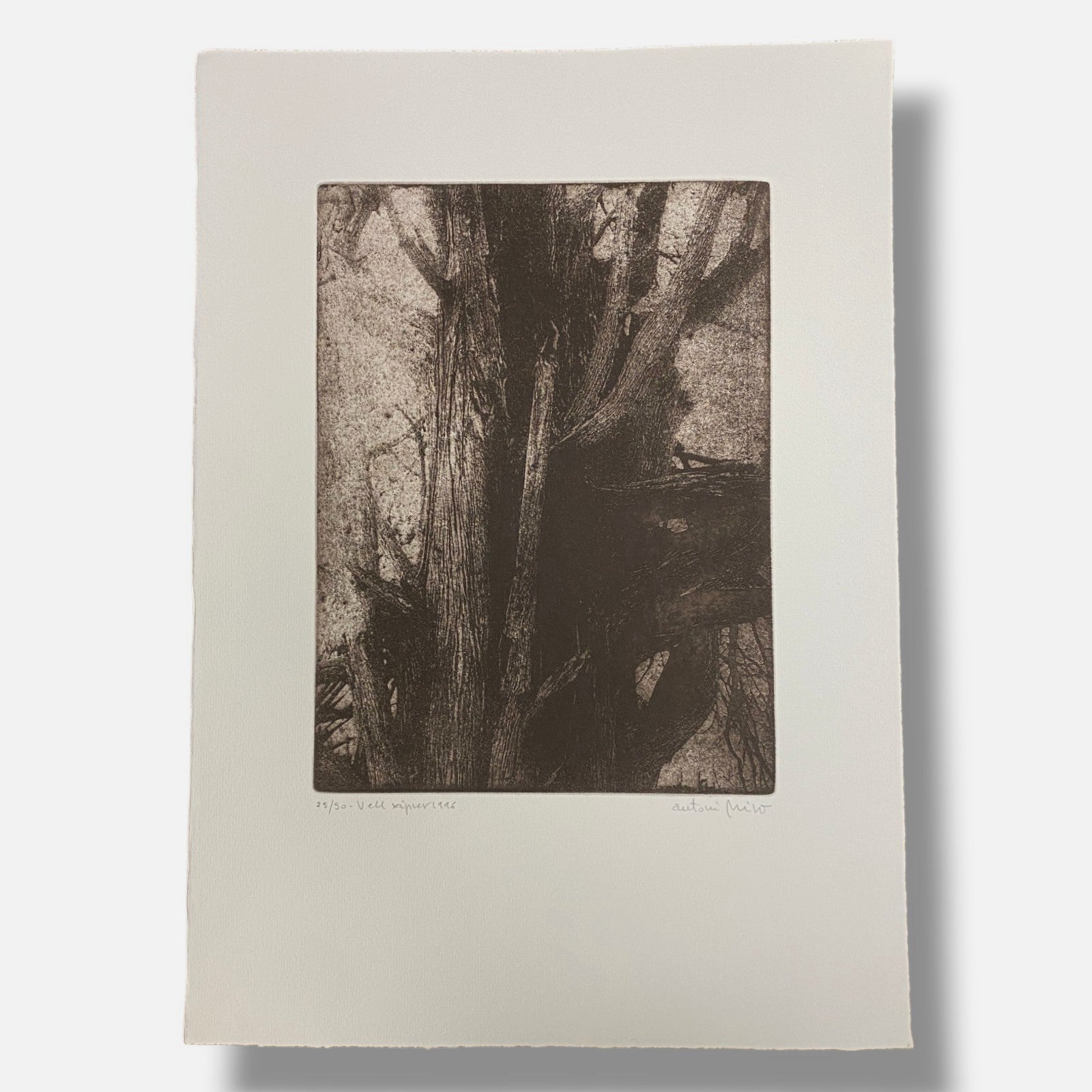 Antoni Miró Bravo "Vell Xiprer" Fine Wall Art | 15 x 21"