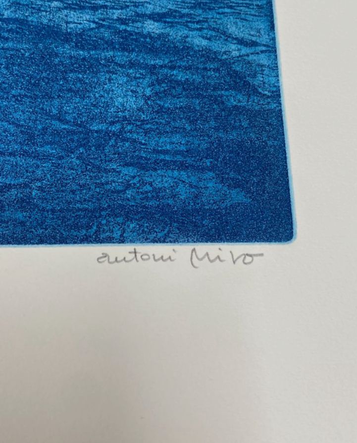 Antoni Miró Bravo "Mare Nostre II" Fine Wall Art | 15 x 21"