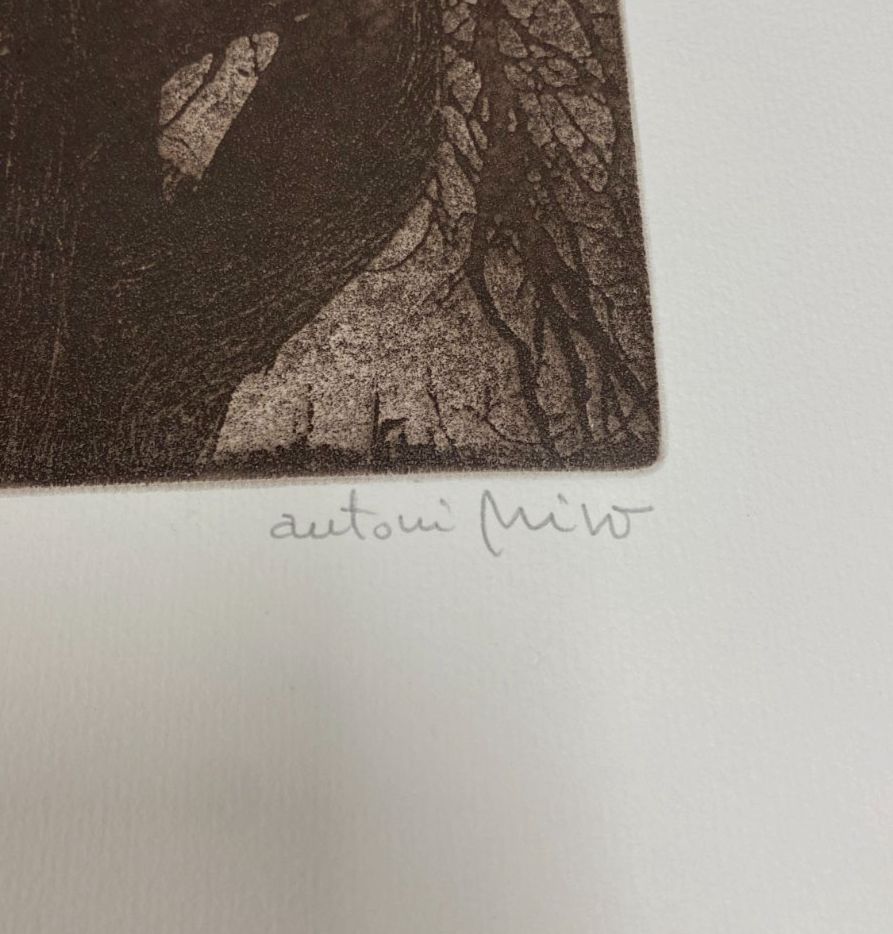 Antoni Miró Bravo "Vell Xiprer" Fine Wall Art | 15 x 21"