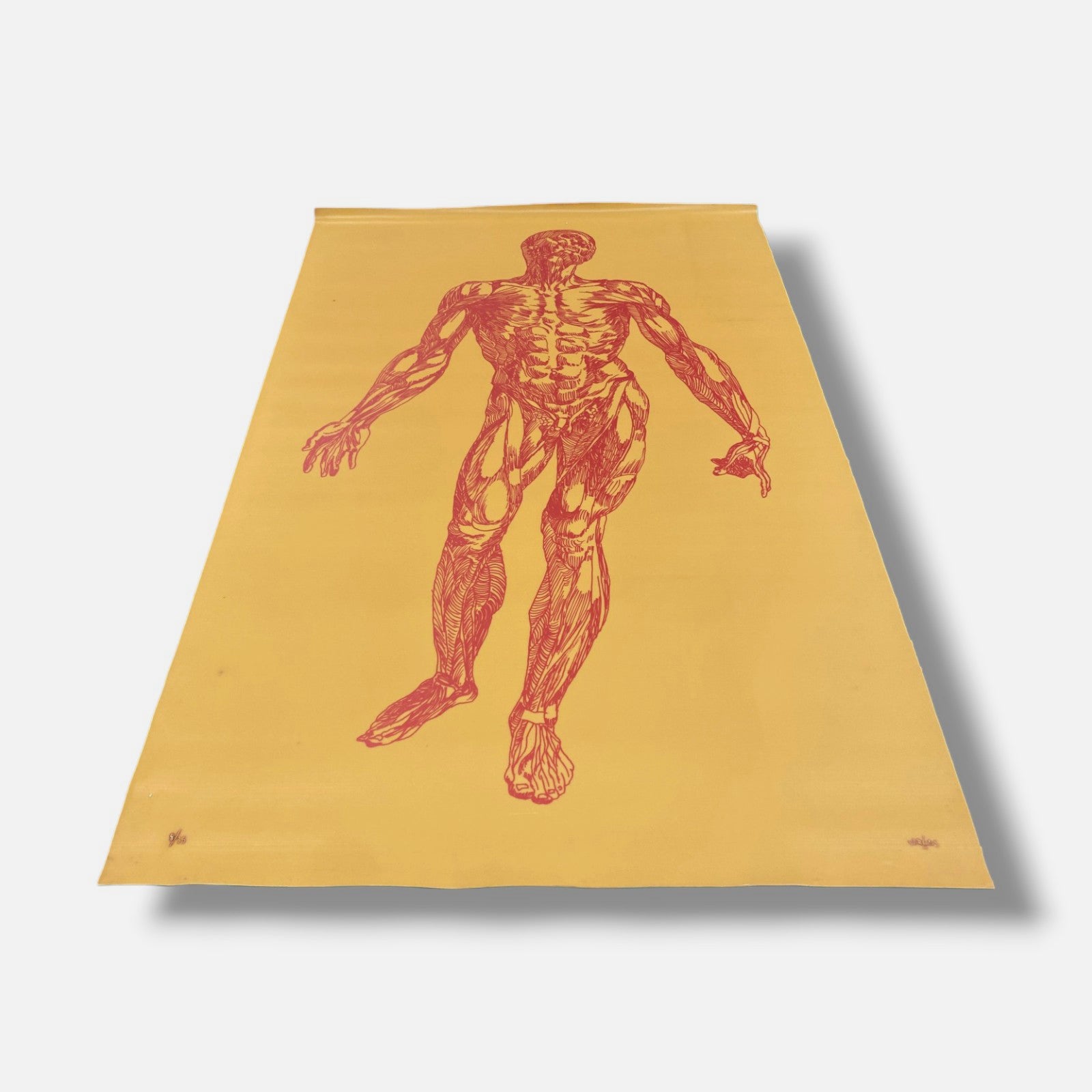 Jose Perez De Vargas Y Saldana "En La Piel II" Wall Art | 31 x 51.5"