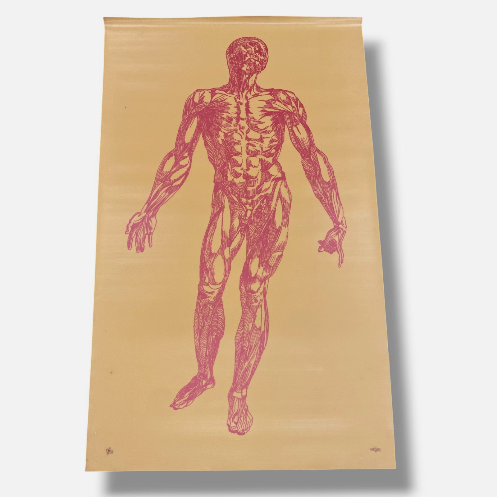 Jose Perez De Vargas Y Saldana "En La Piel II" Wall Art | 31 x 51.5"