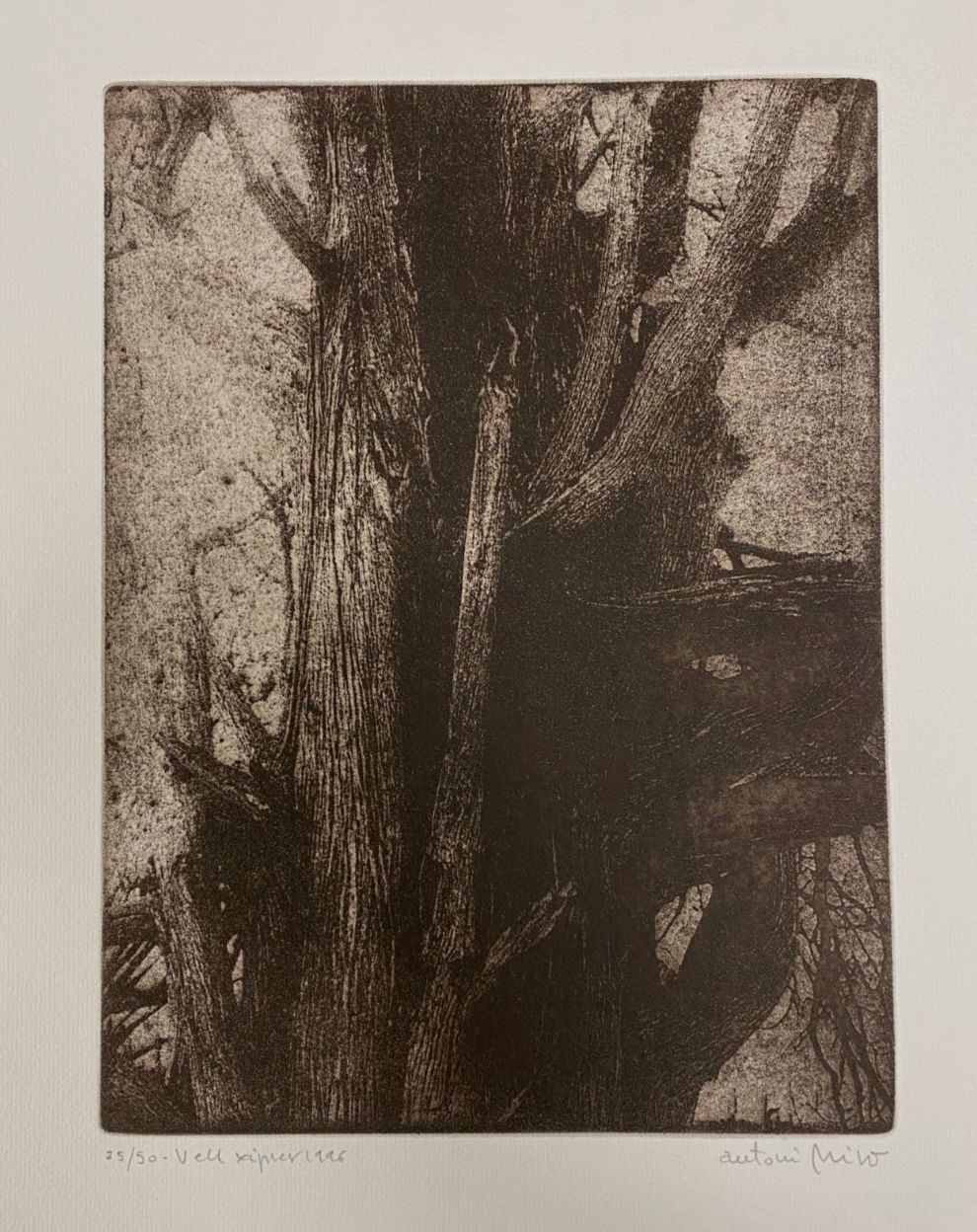Antoni Miró Bravo "Vell Xiprer" Fine Wall Art | 15 x 21"